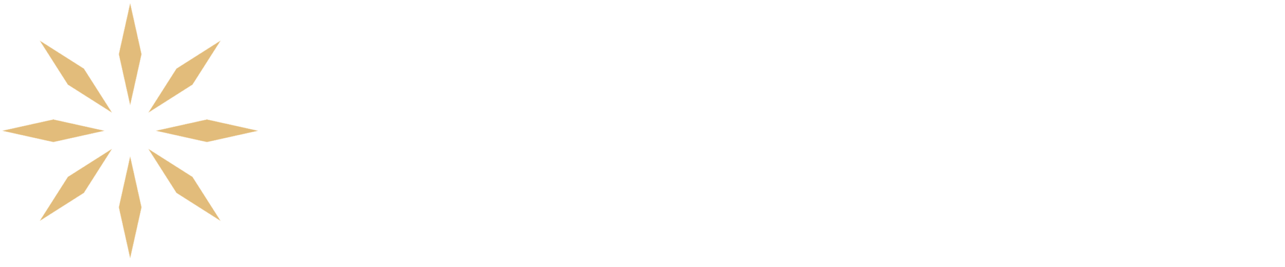 Firehouse Landscape Lighting Design - Trusted Landscape Lighting Designer in Hockley | Firehouse Landscape Lighting Design